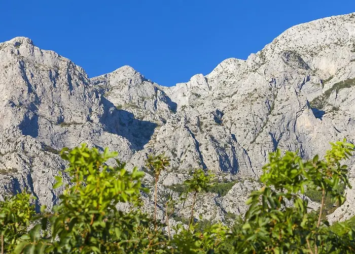 Prázdninový dům Dario